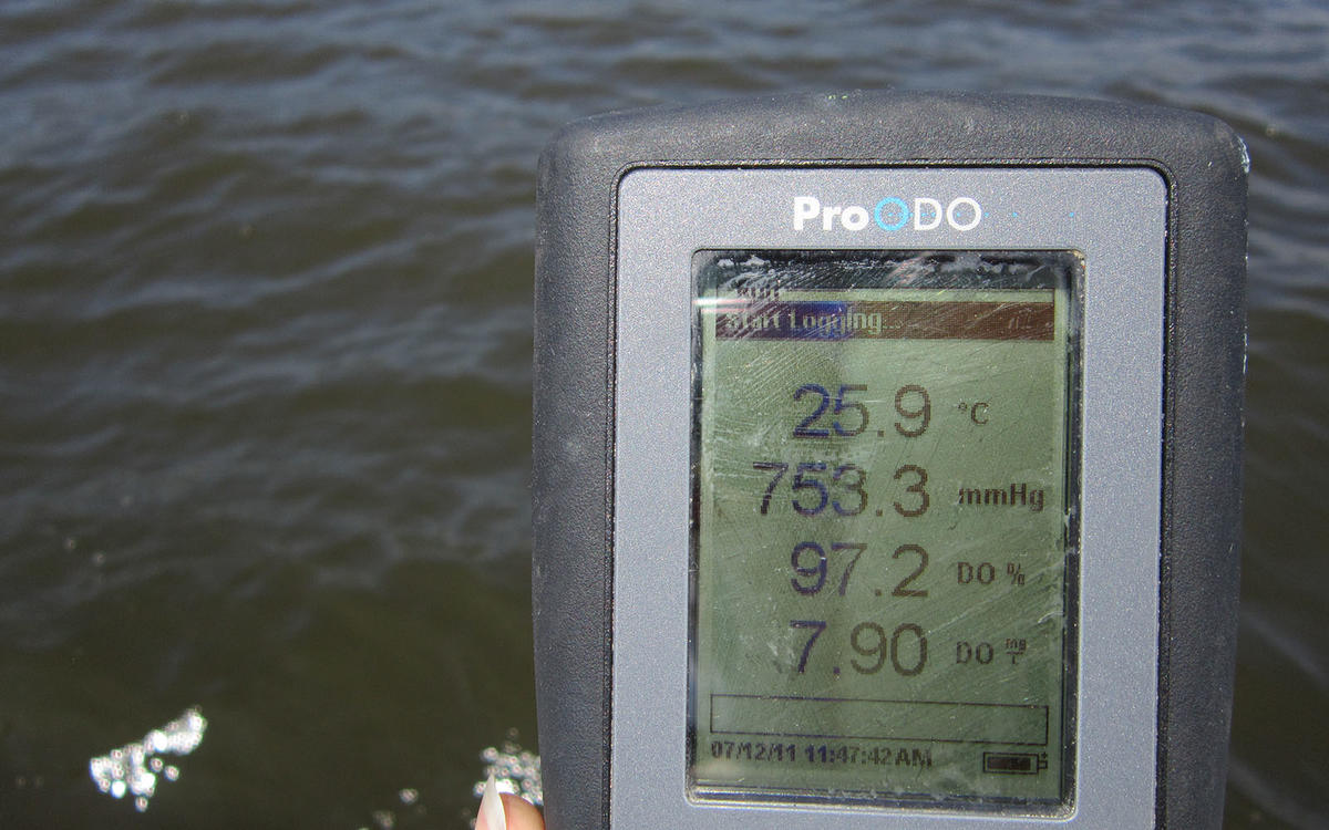 Dissolved oxygen meter