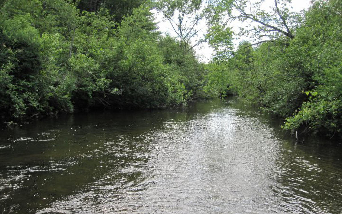 stream