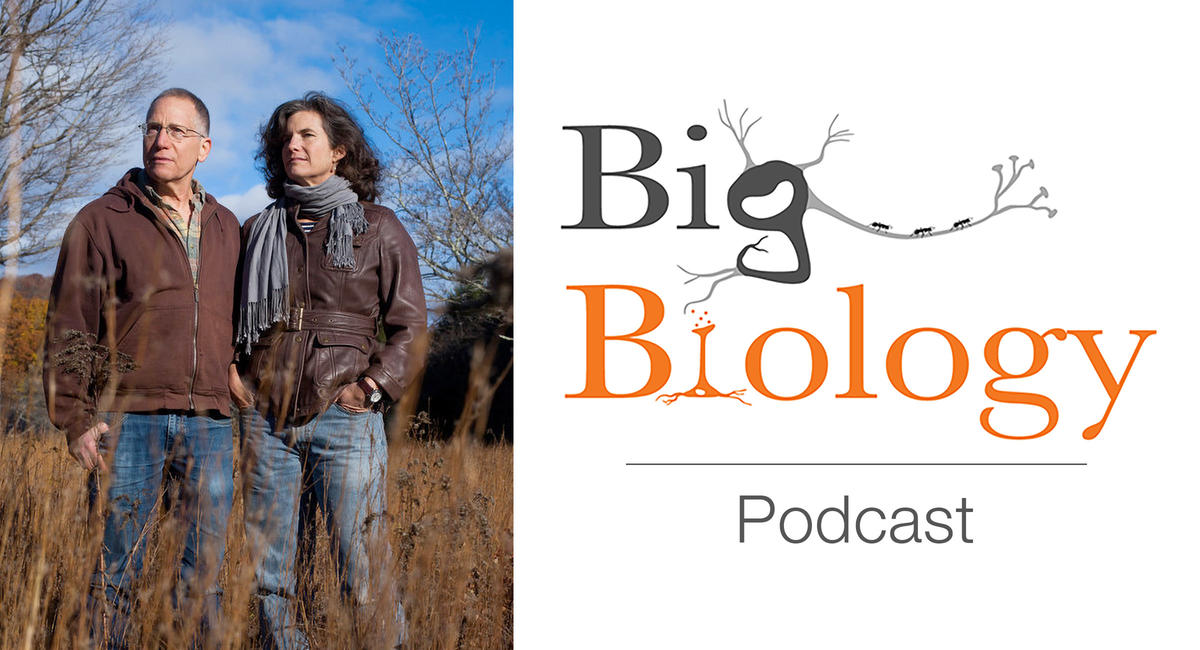 big biology podcast event
