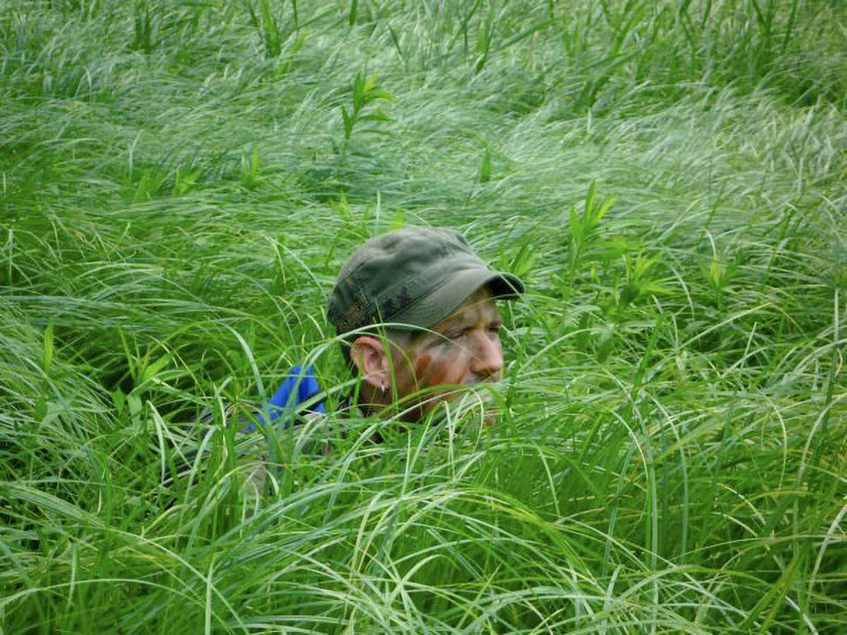 hiding while searching for bird nests