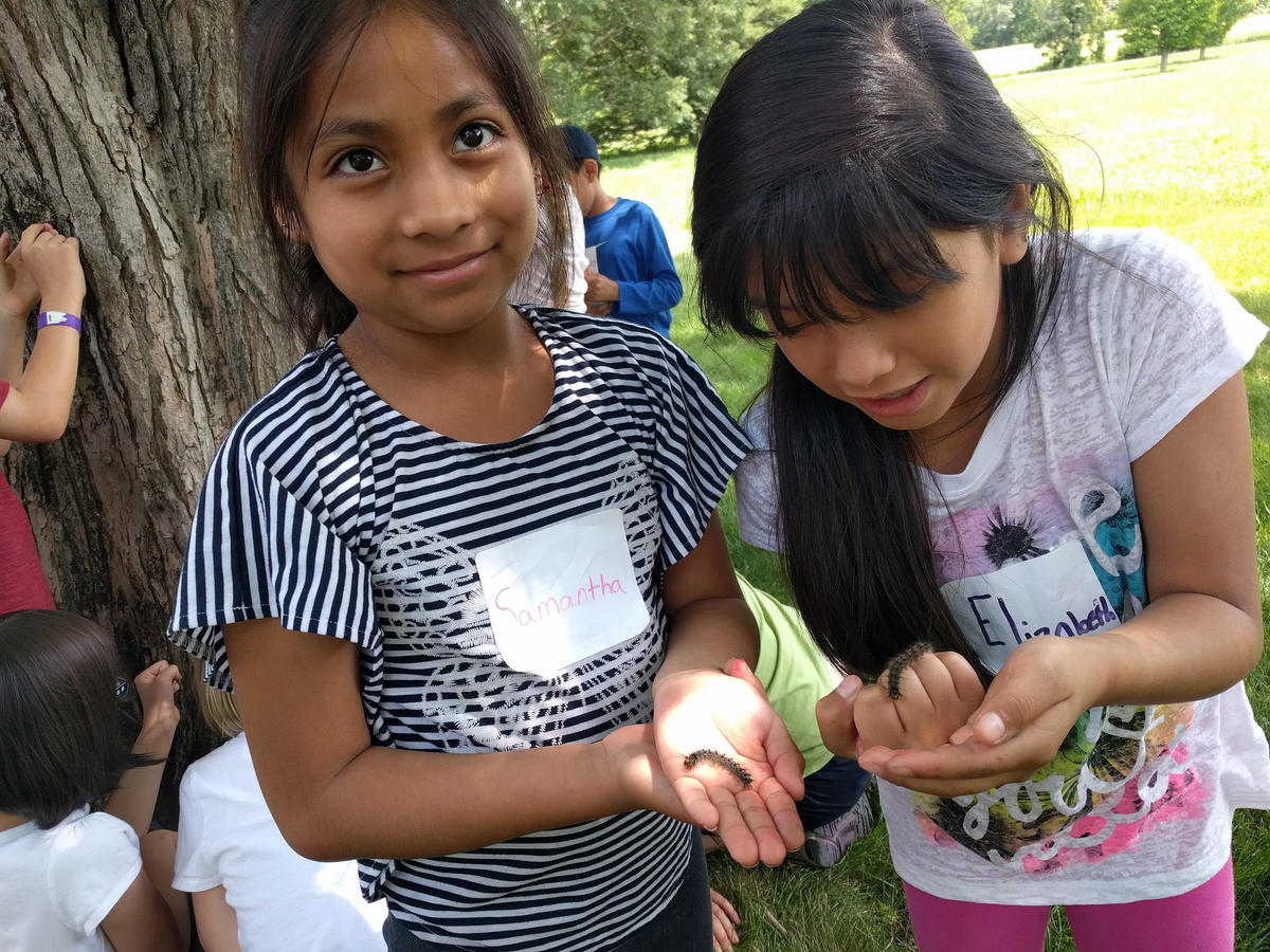 cary ecology camp 2018