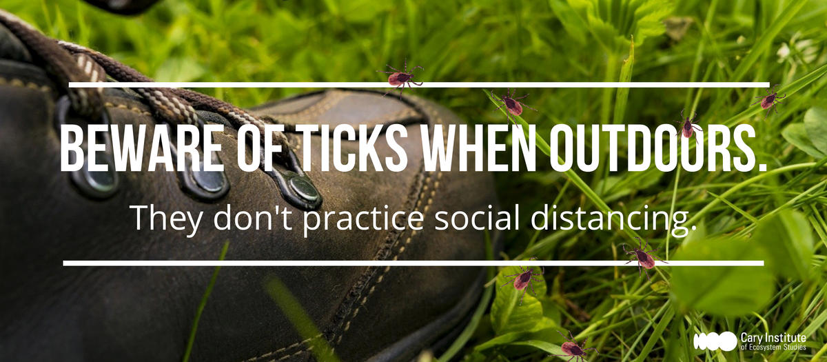 be tick aware during covid. Ticks don't practice social-distancing