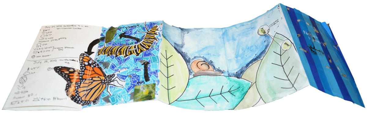 cary art+science fieldbook