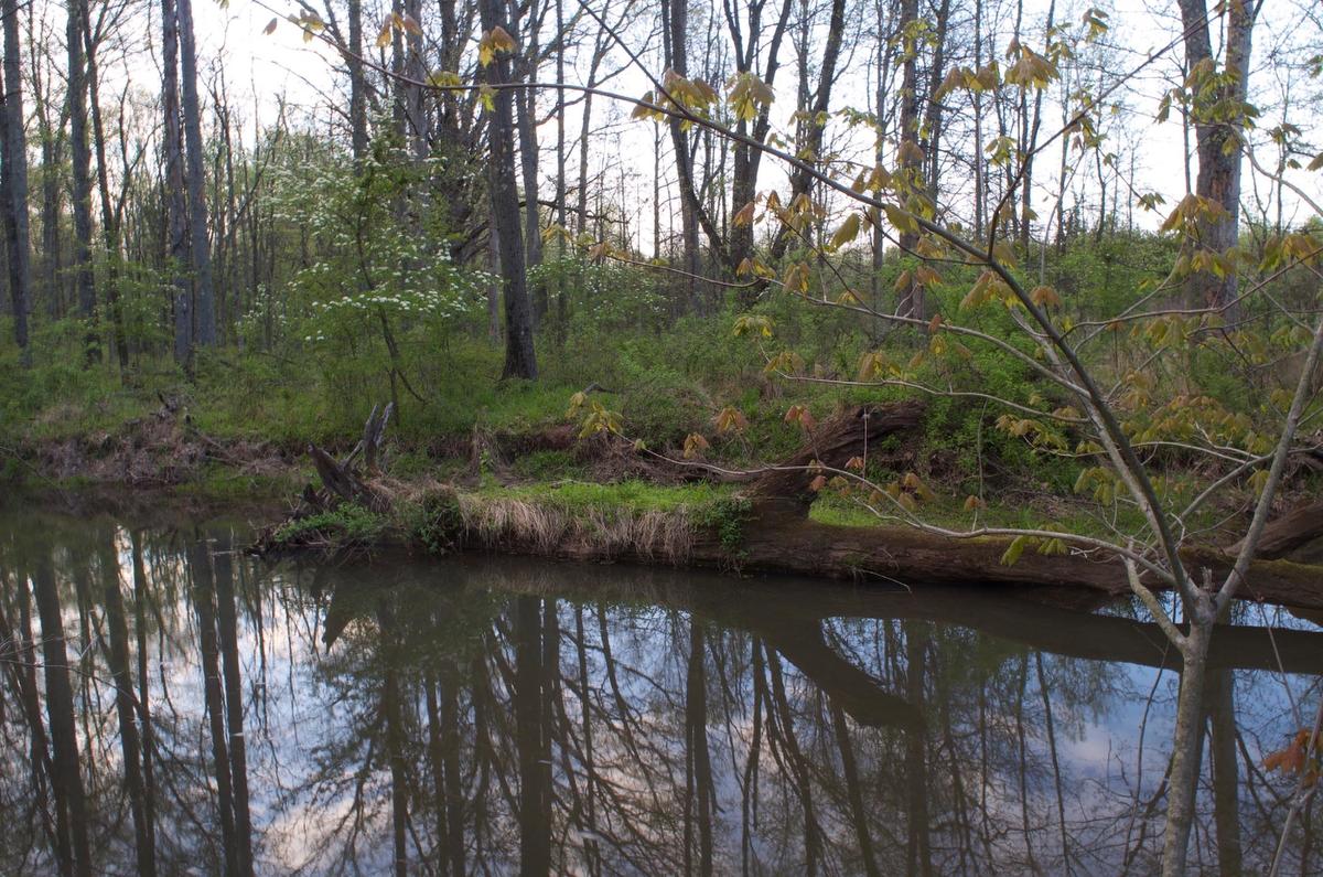 stream