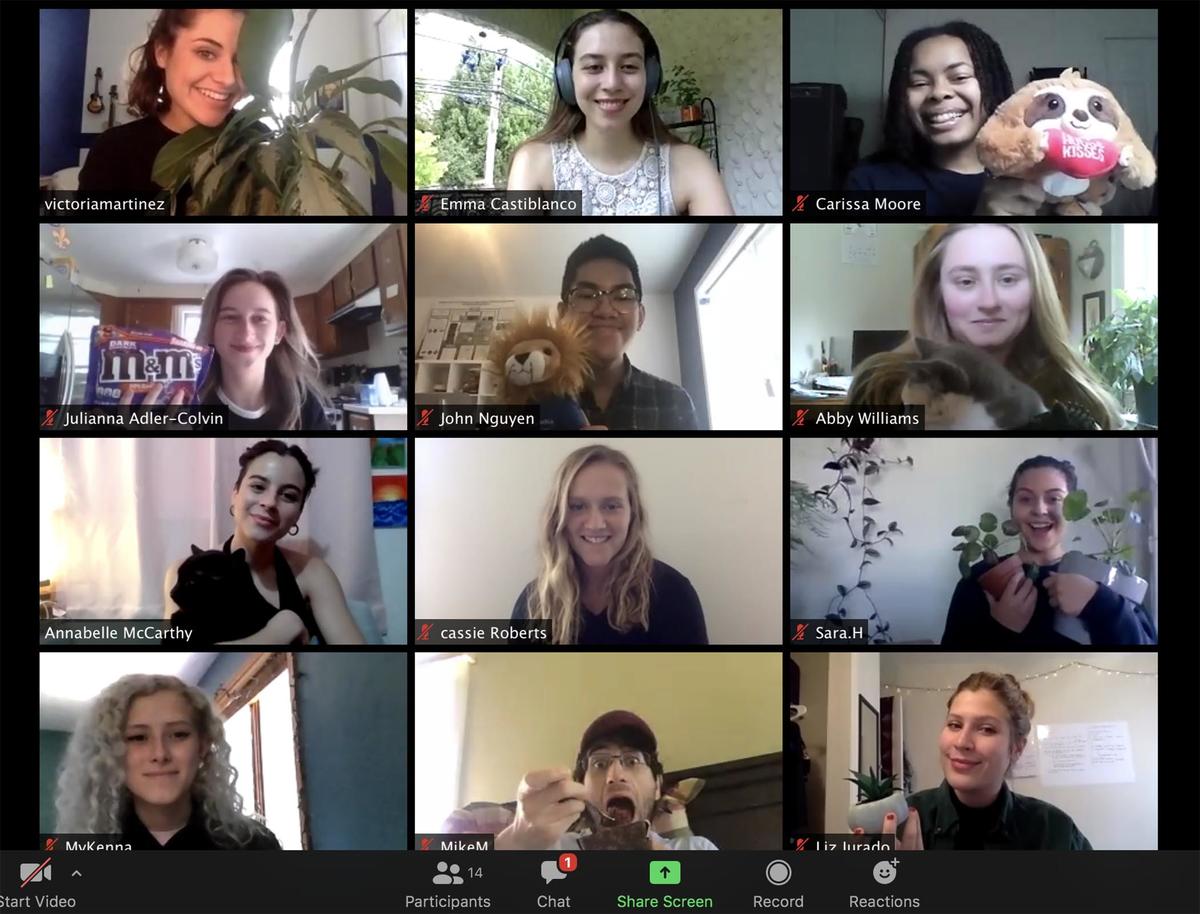 REU virtual meeting