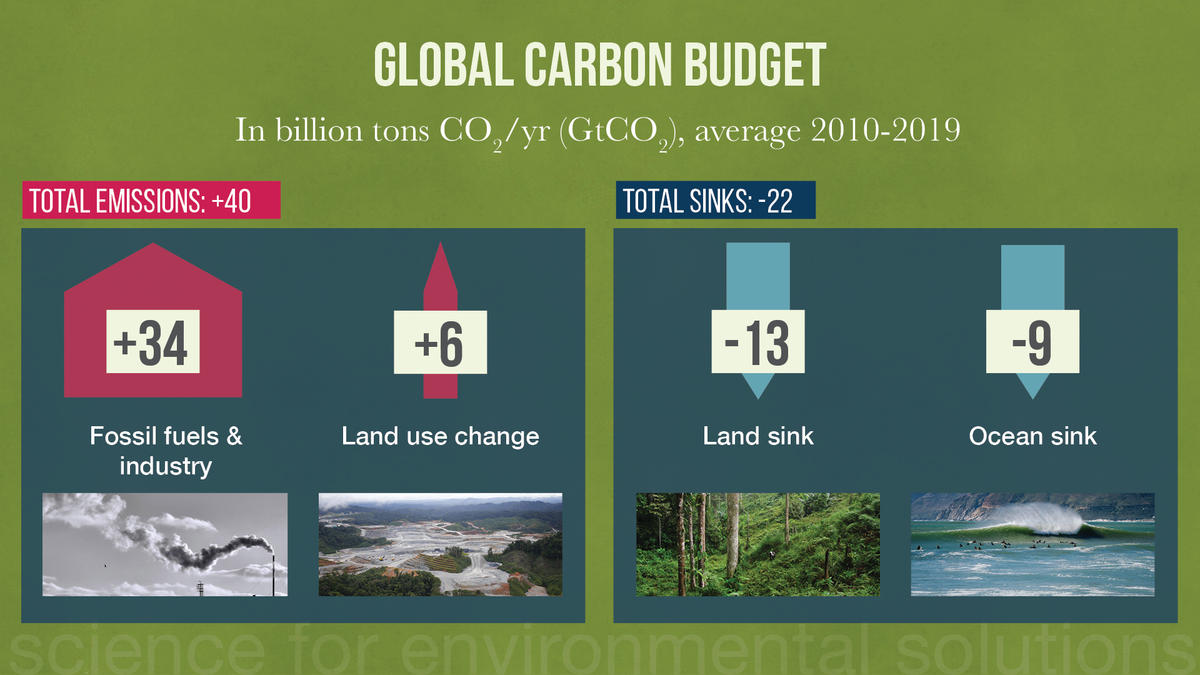 Global Carbon Budget