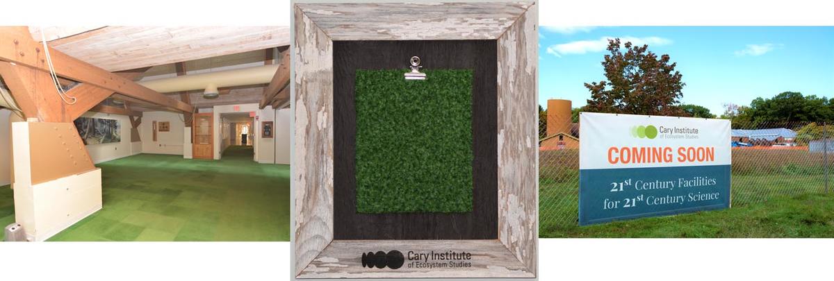 carpet square
