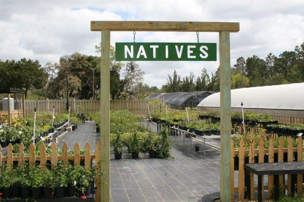 native plant nursery
