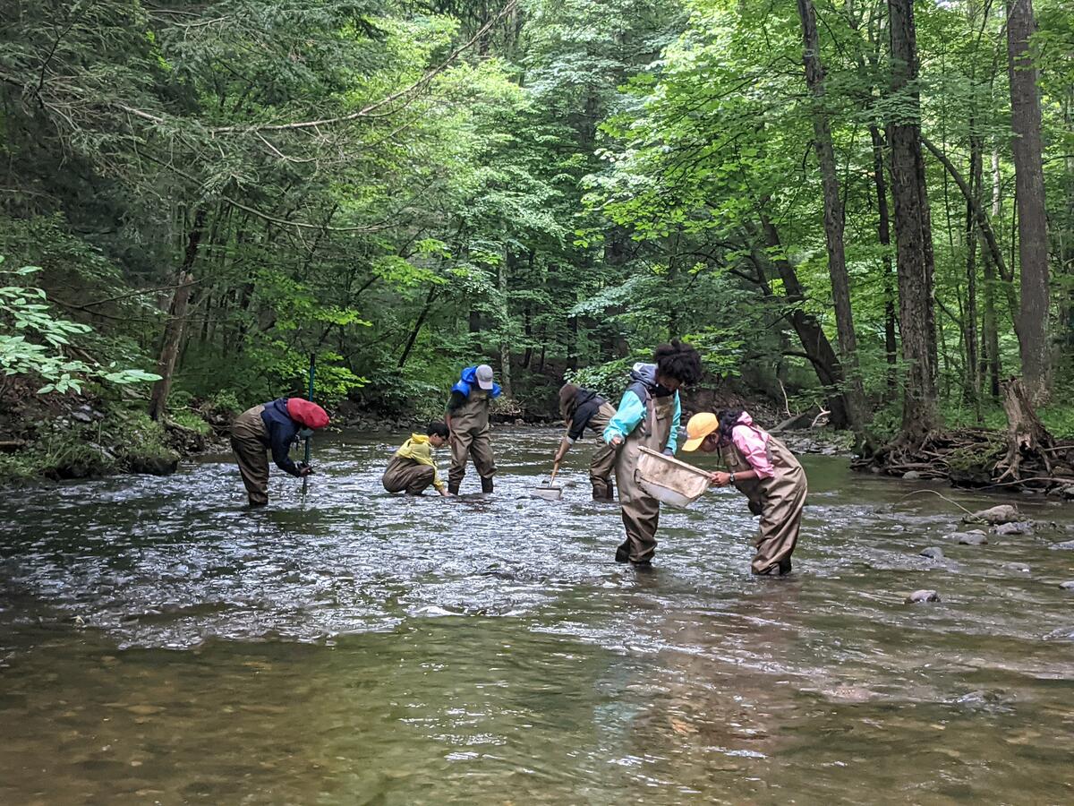 MH-YES macroinvertebrate collecting in Wappinger Creek