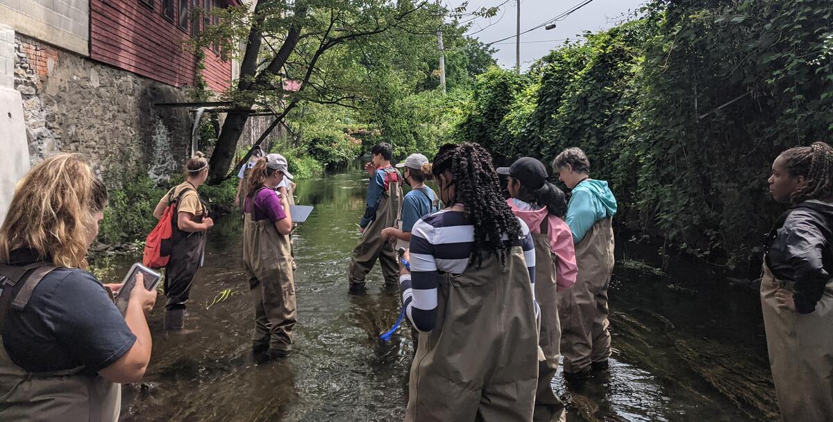MH-YES participants collect water samples along the Fall Kill Creek