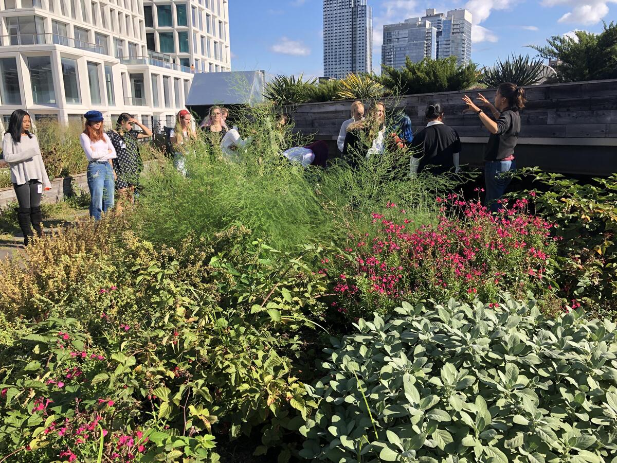 green roof