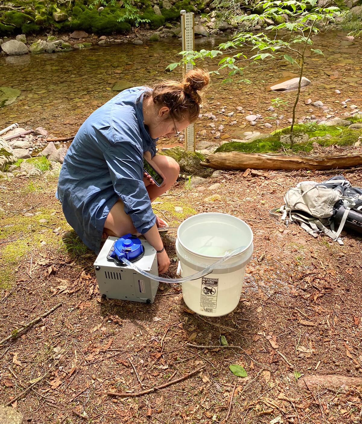 neversink sampling