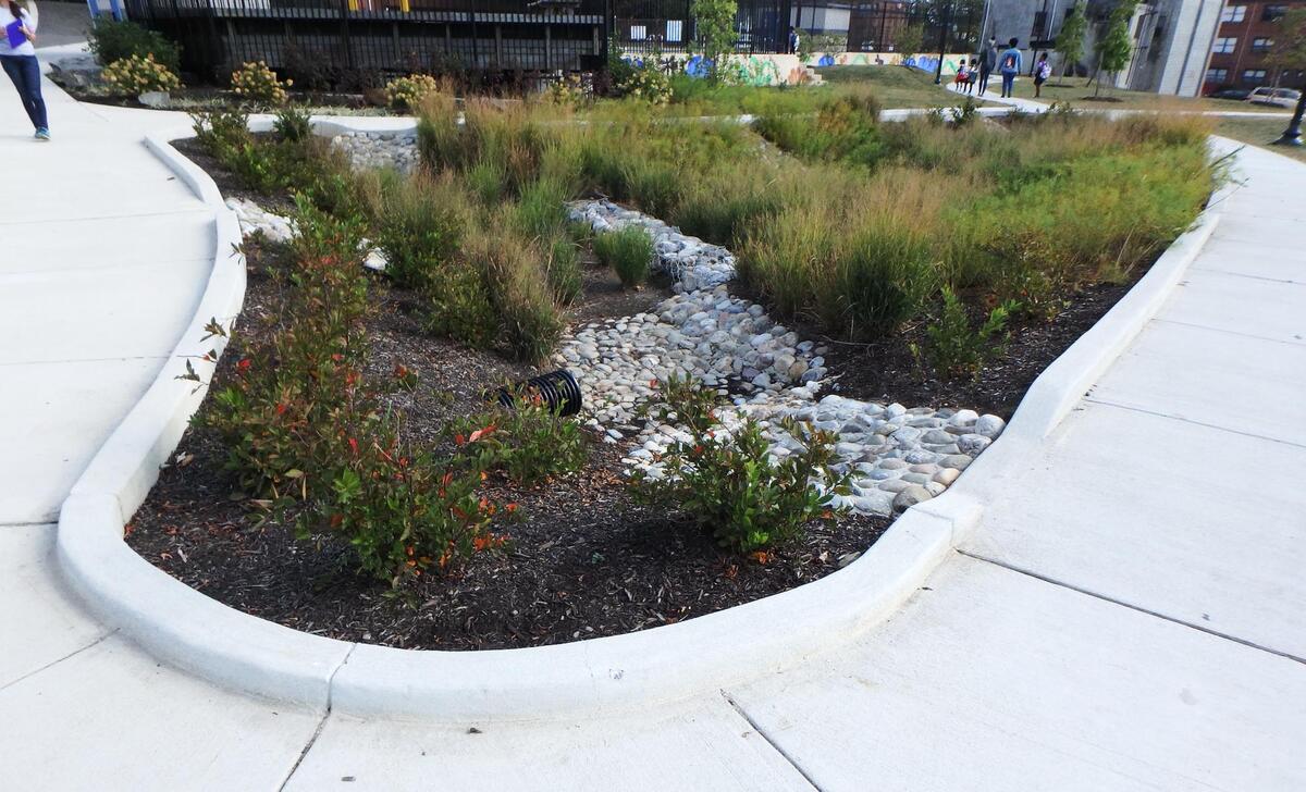 rain garden baltimore