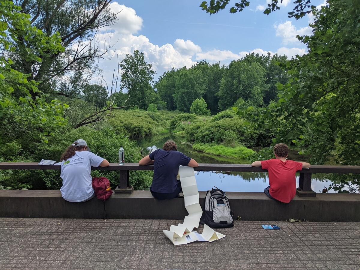 Field journals in the Cary Institute Lowlands during Art & Science summer course