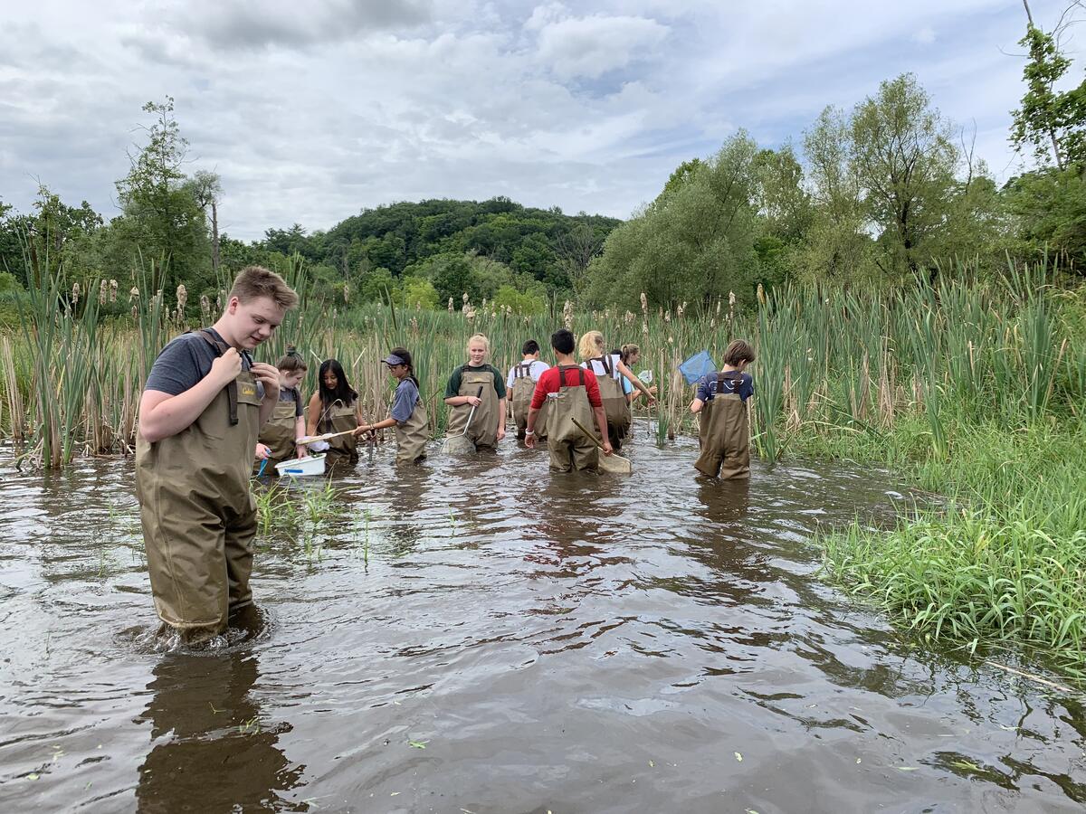 Teens use waders to explore a wetland at Cary Institute's summer Art & Science course