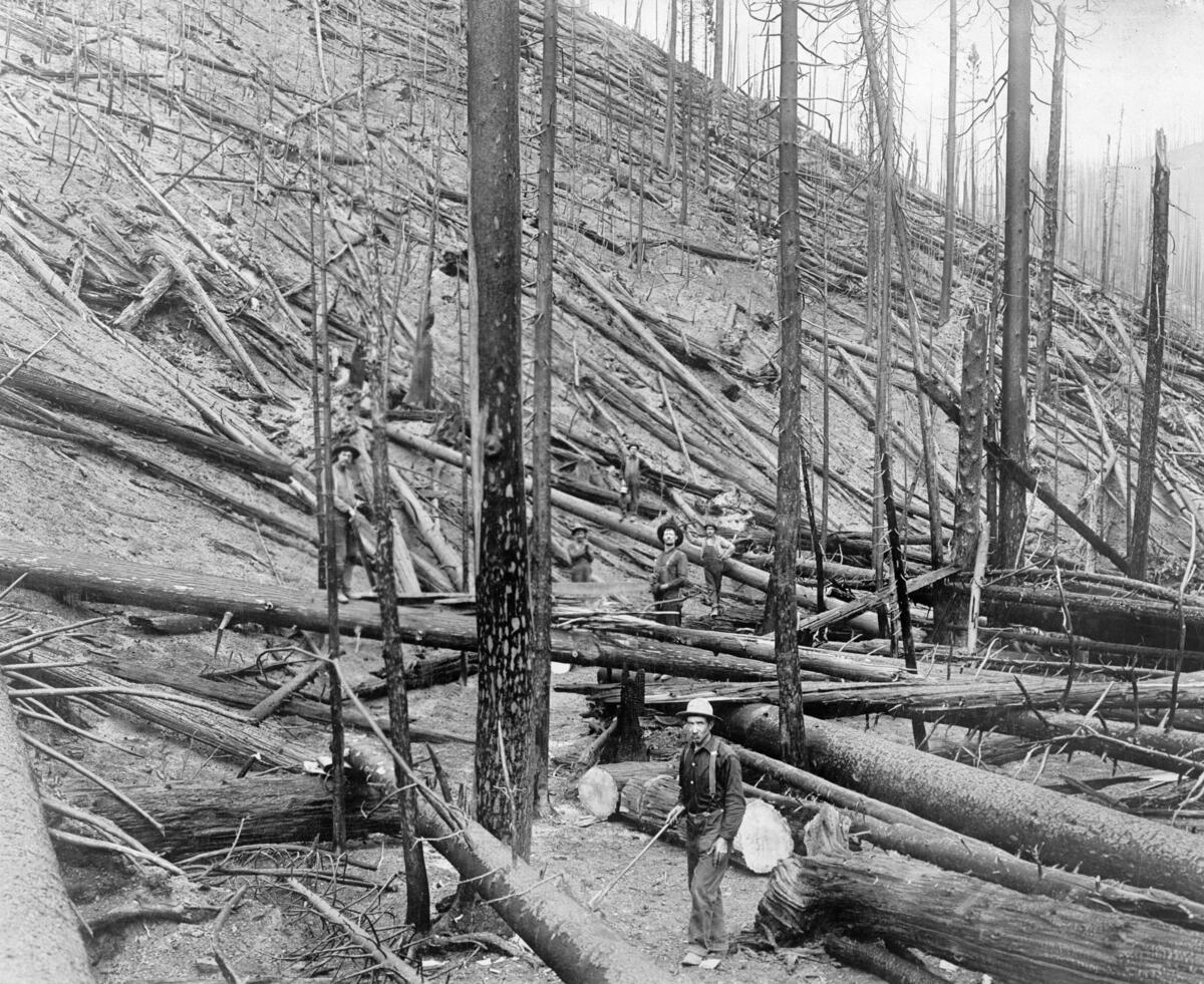 the big burn