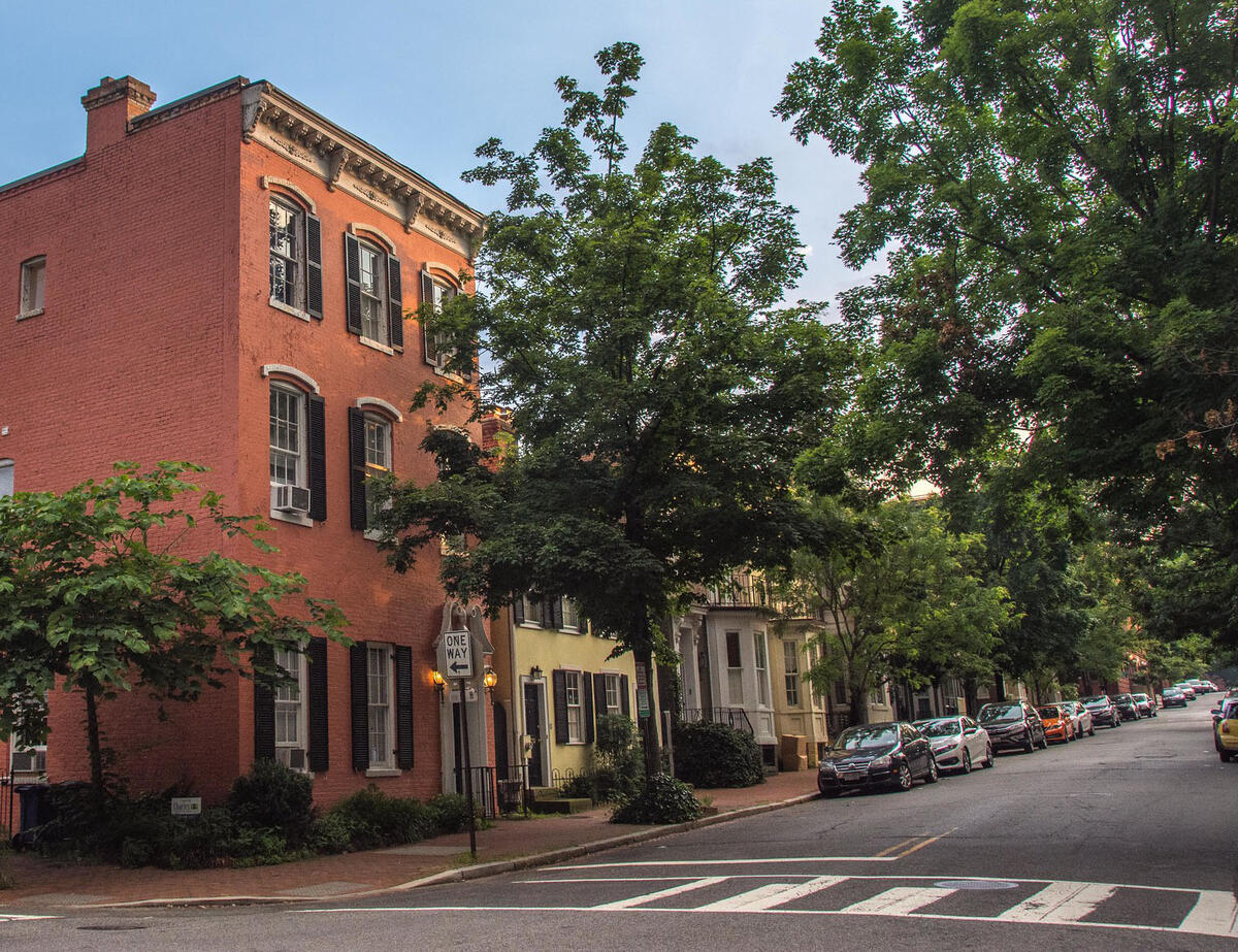 tree-lined street in wealthier neighborhood of Baltimore, MD