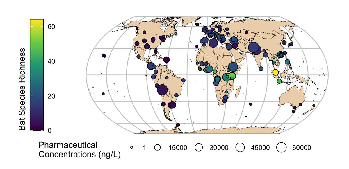 map of areas where antiviral pollution and bat populations are expected to overlap
