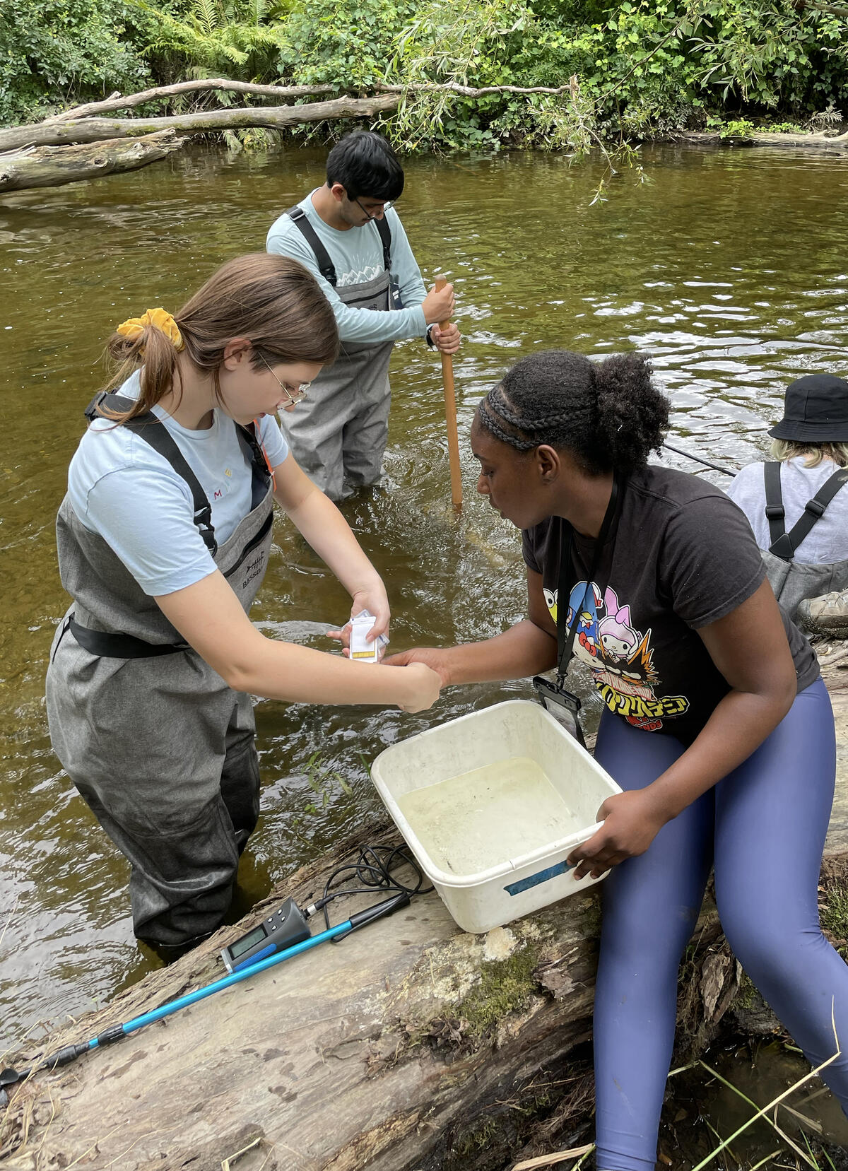 students doing field research in and along wappinger creek