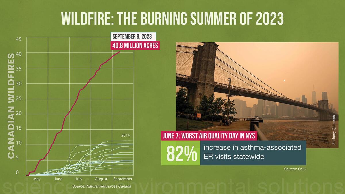 Data on canadian wildfires and air quality in new york state