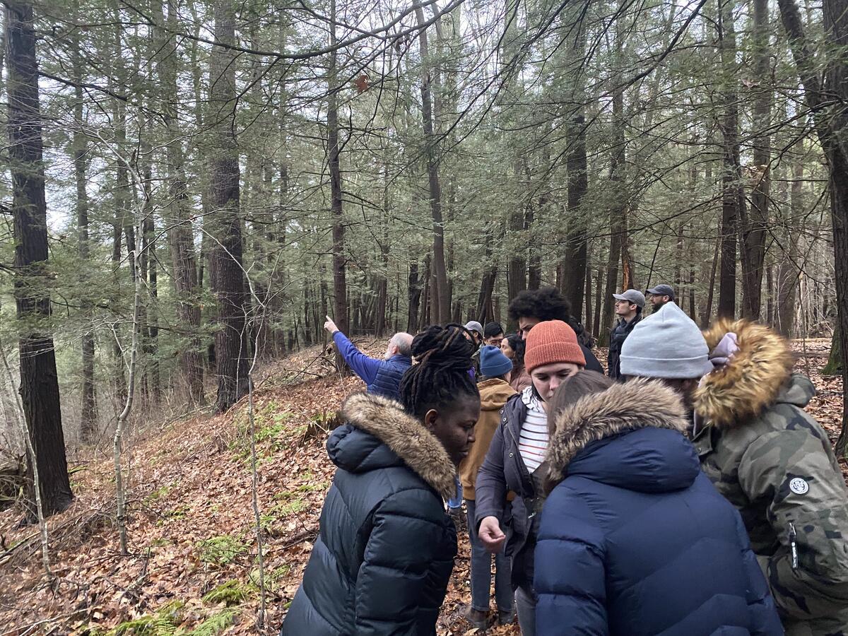 students walk through cary institute forest