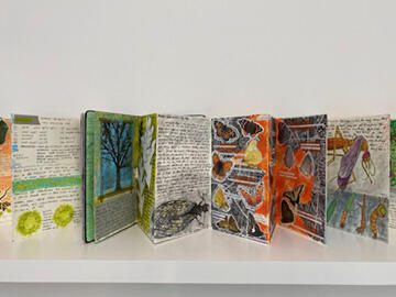 field notebooks