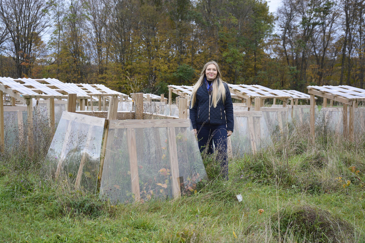 jane lucas stands amongst 80 soil plots