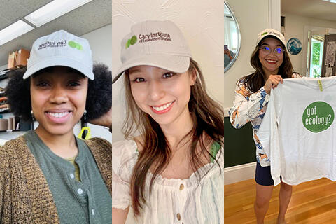 photos of three NCDS interns