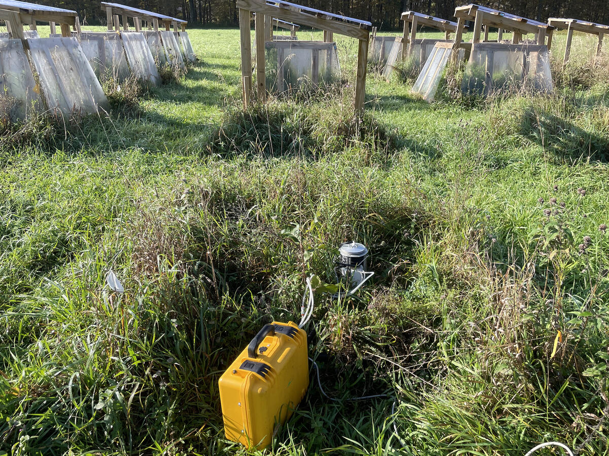 yellow briefcase attached to soil plot