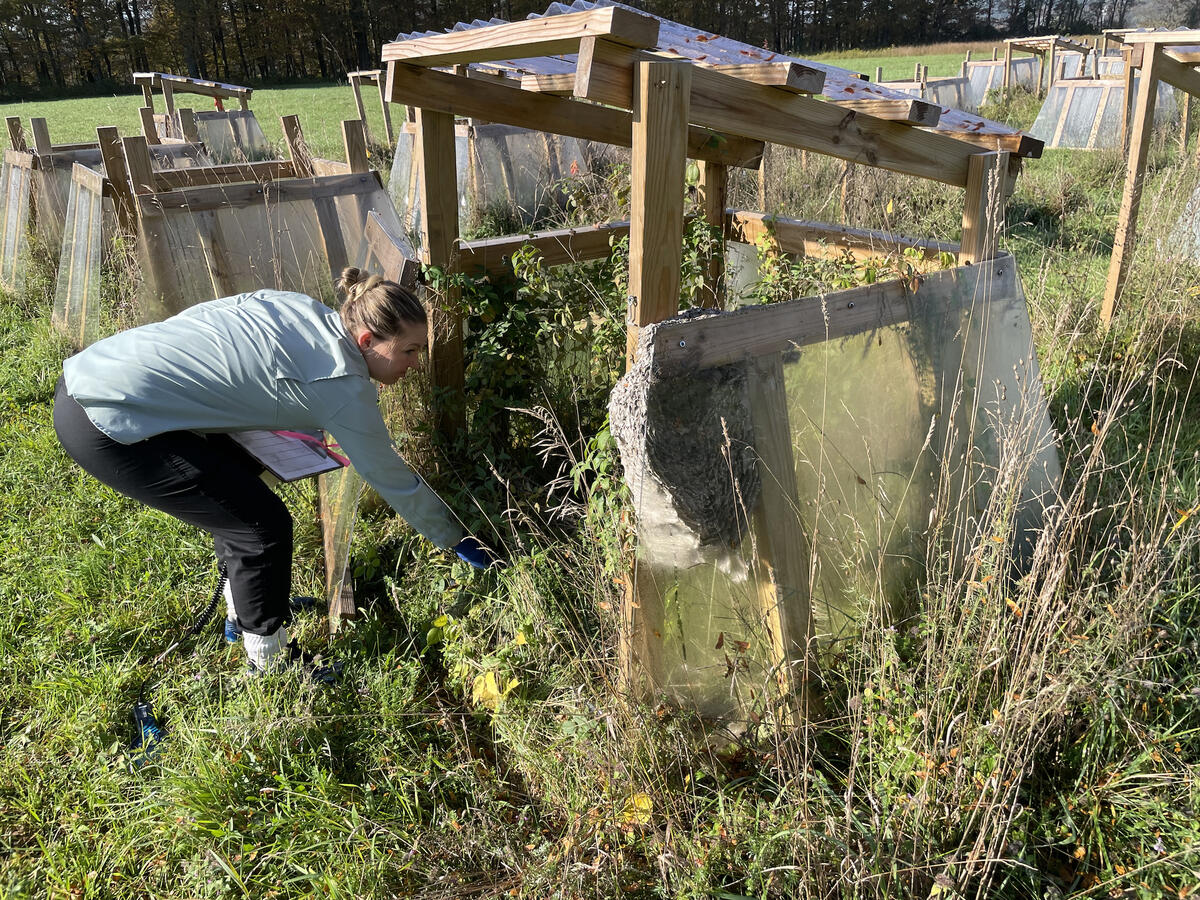 scientist crouches near small greenhouse