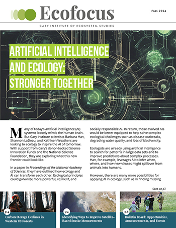 newsletter
