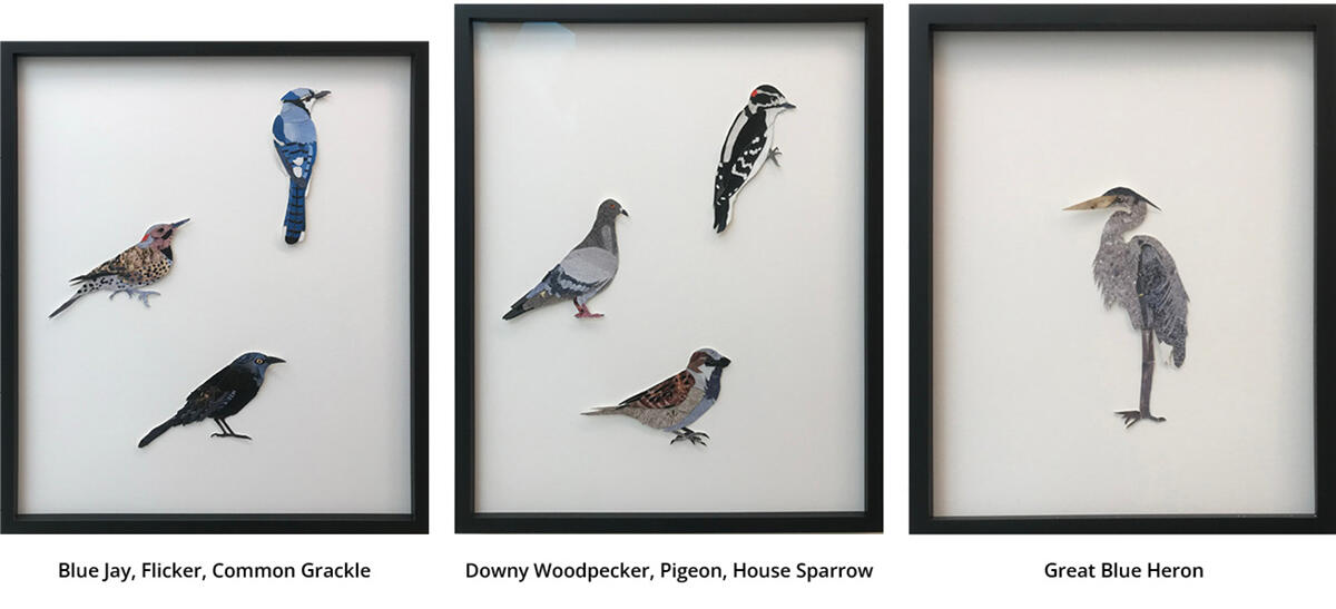 maffia birds