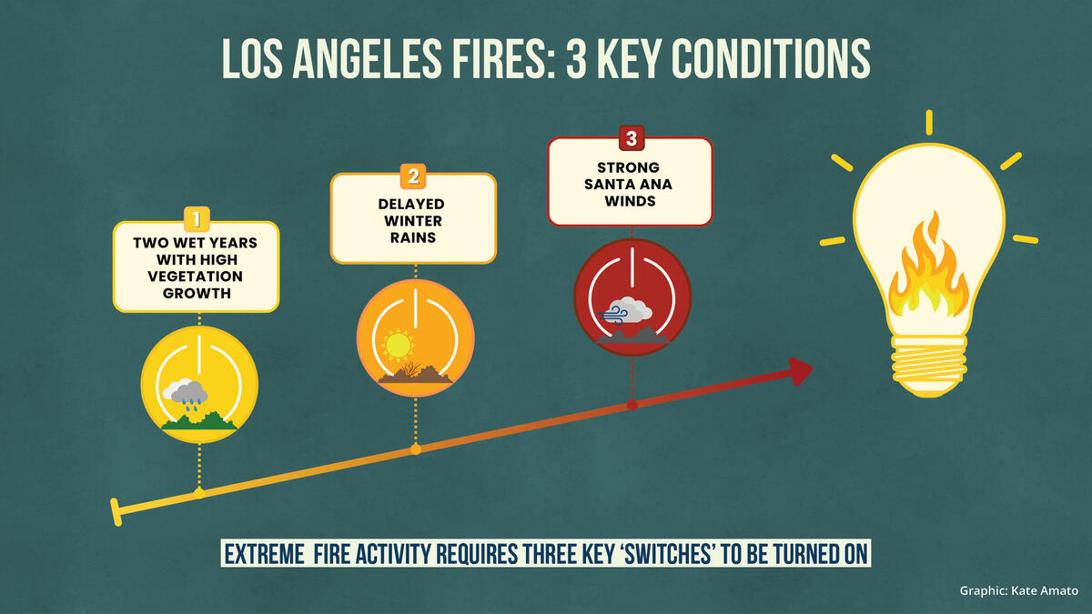 ignition switches for Los Angeles fires 2024