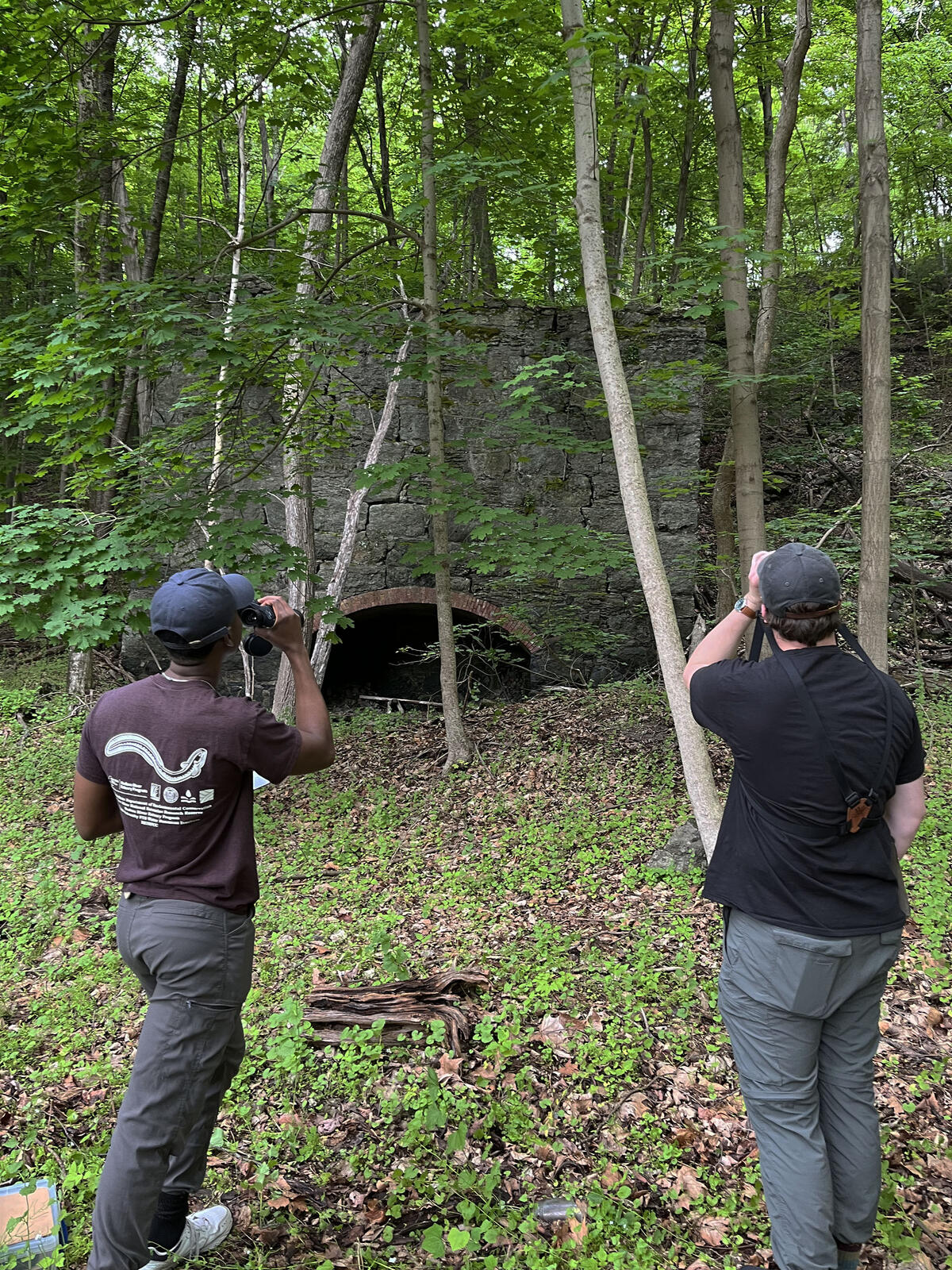 two people with binoculars in a forested area