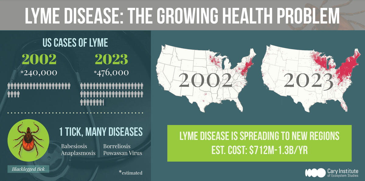 Graphic: Lyme disease statistics cc by Leslie Tumblety/Cary Institute
