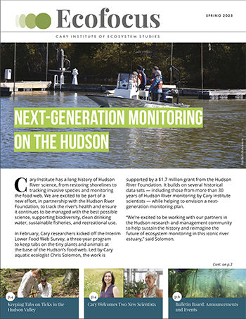 newsletter