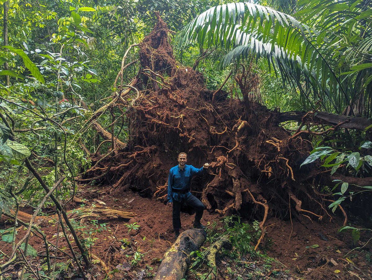 evan gora near tree roots