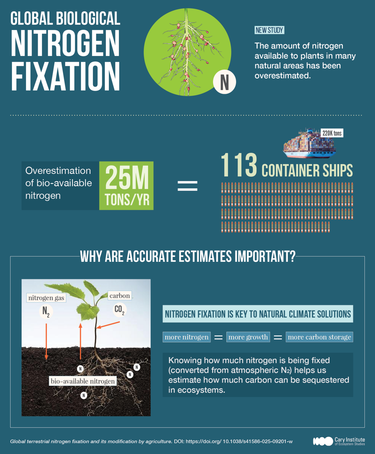 nitrogen fixation