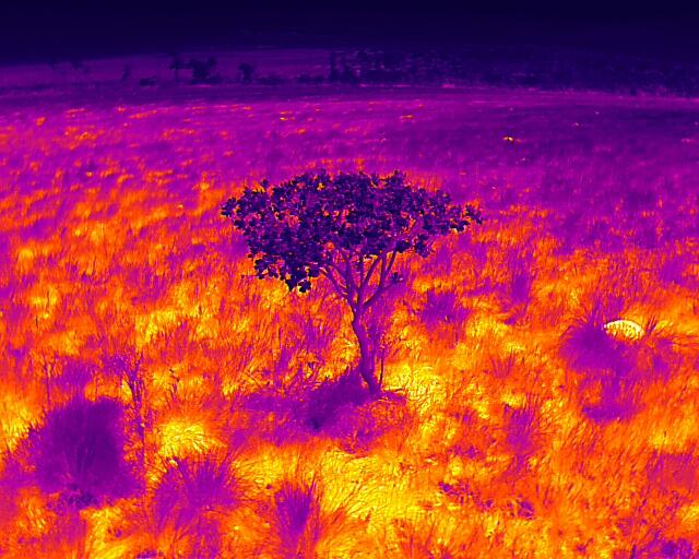 thermal imagery of Brazil Cerrado 