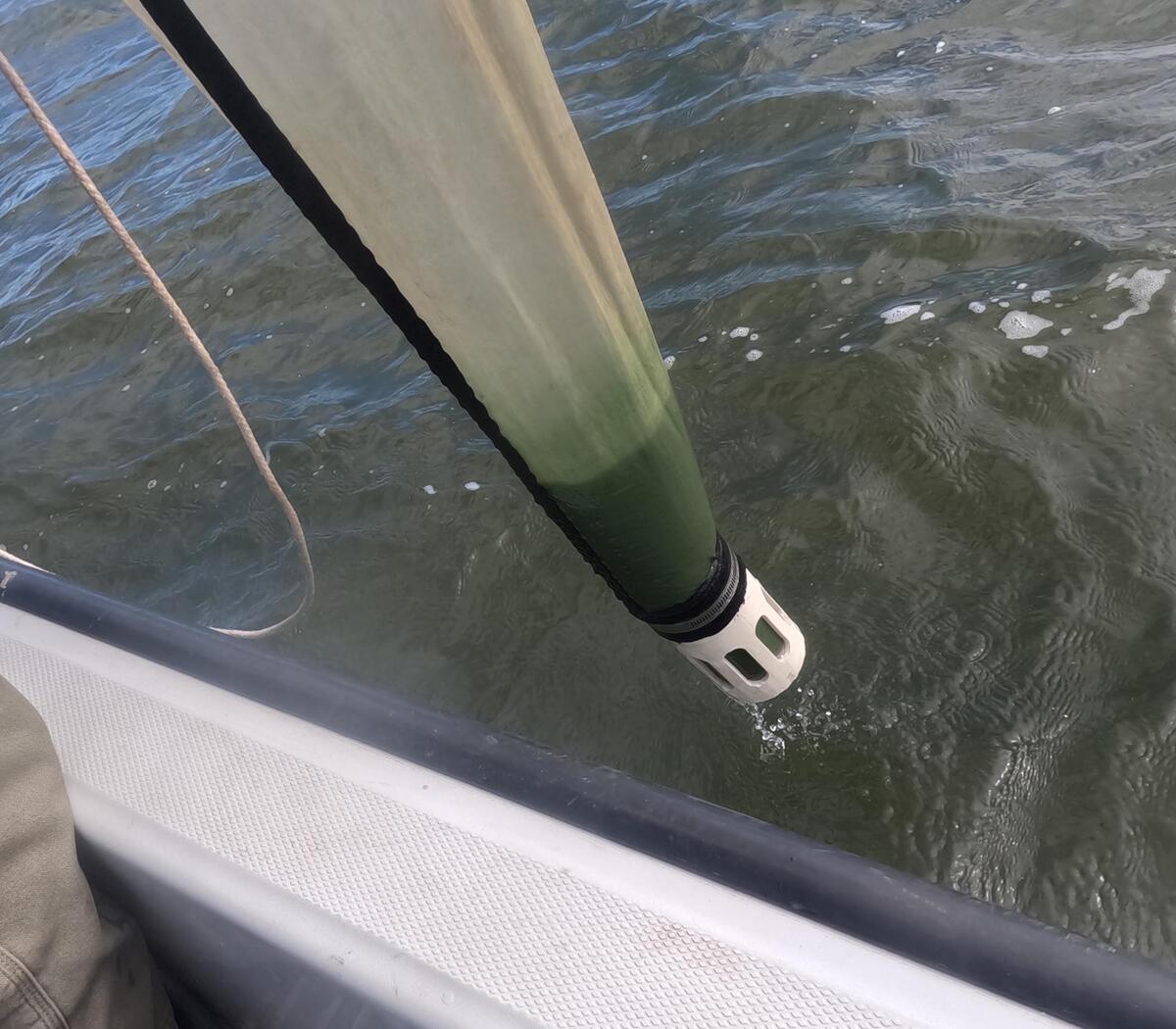 Zooplankton net set out to capture Bosmina plankton