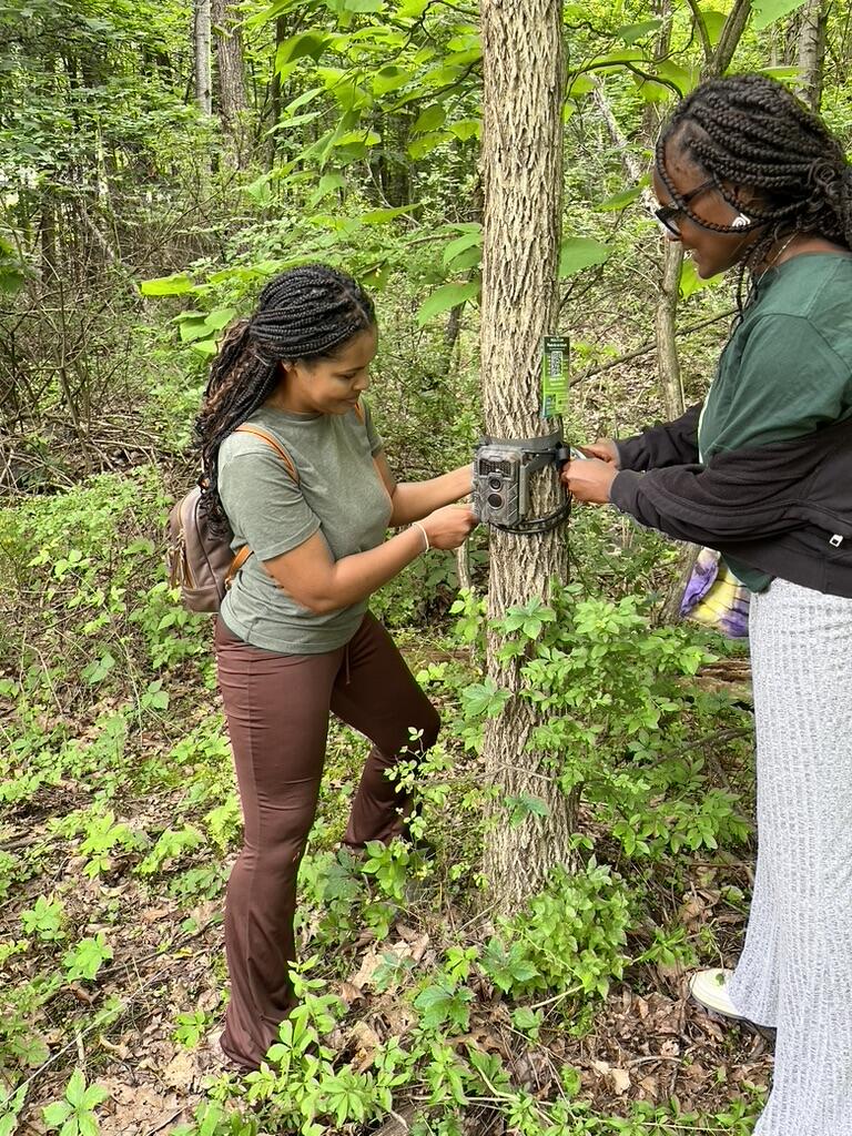 two Environmental Justice Fellows installing a camera around a tree