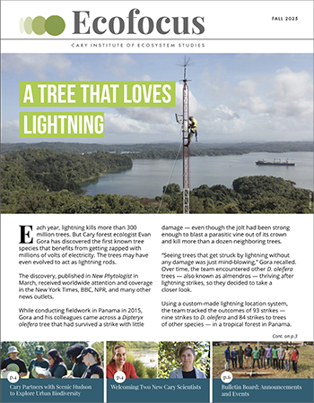 Ecofocus newsletter Fall 2025