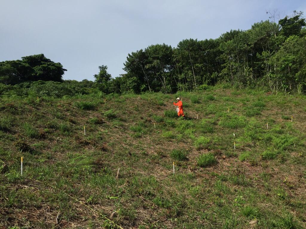 person in orange jumpsuit spreads fertilizer on a field