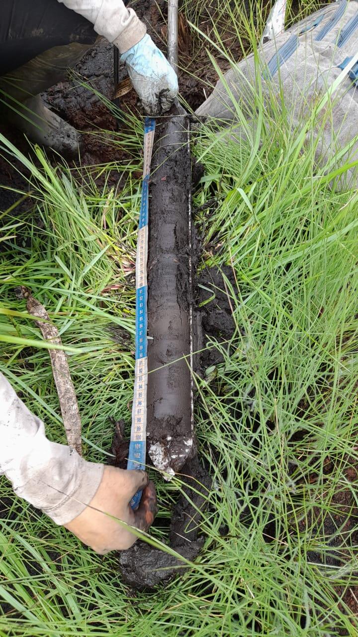 hands measuring a soil core