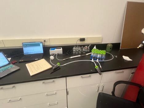soil samples in laboratory