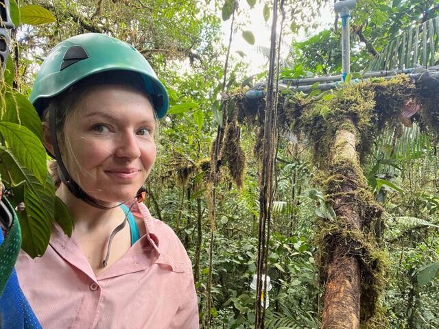 Jane Lucas in a helmet climbing a tree