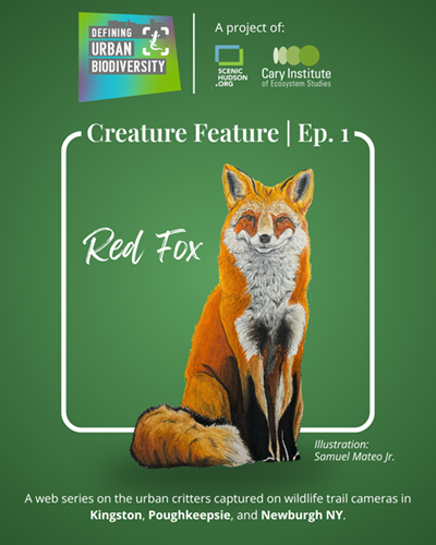 creature feature fox