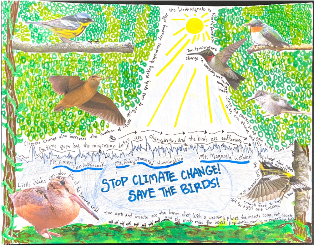 "Birds Take Flight" Data Jam Collage