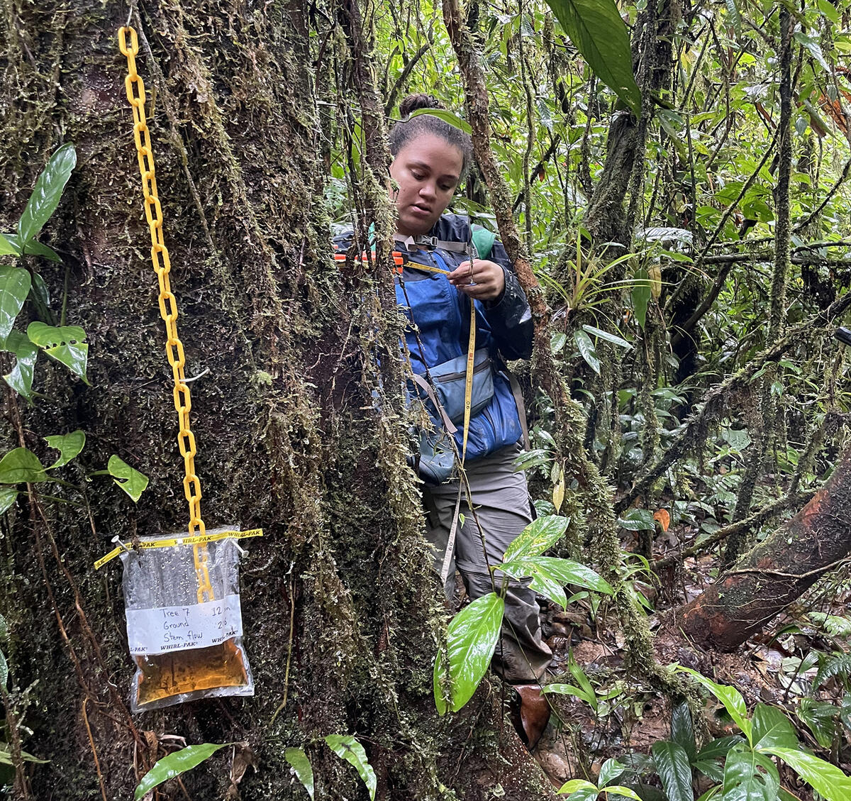 Veronica Diaz Gittens taking measurements